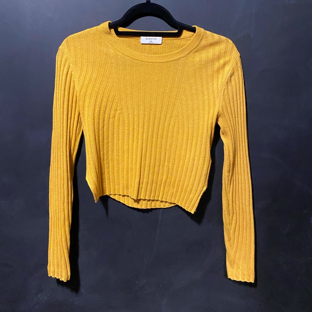 Aritzia Babaton Cropped Sweater